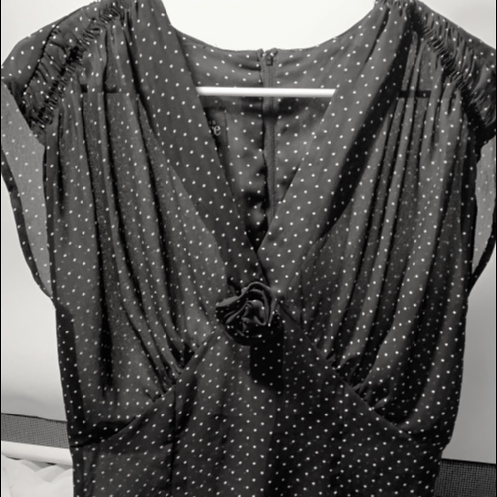 Long polka dot sheer dress